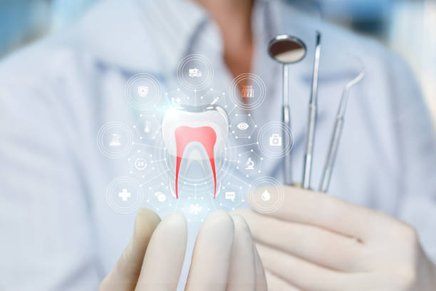 Best Preventive Dentistry  in Fulshear, TX